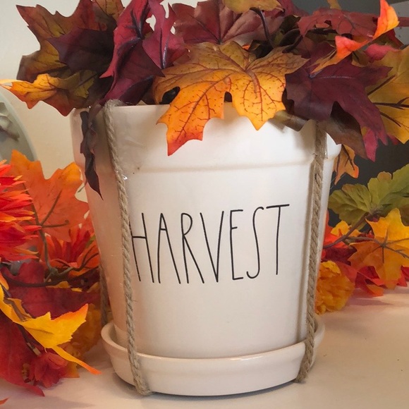 Rae Dunn 7” HARVEST Pot - Picture 3 of 3